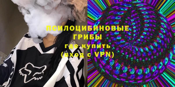 соль ск Бородино