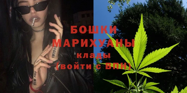 соль ск Бородино