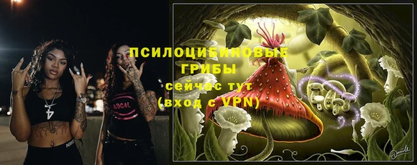 соль ск Бородино