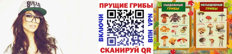закладки  Верхняя Пышма  Псилоцибиновые грибы прущие грибы 