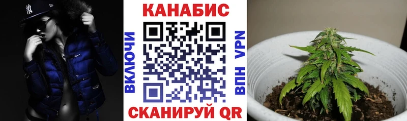 купить наркотик Верхняя Пышма Конопля ГИДРОПОН